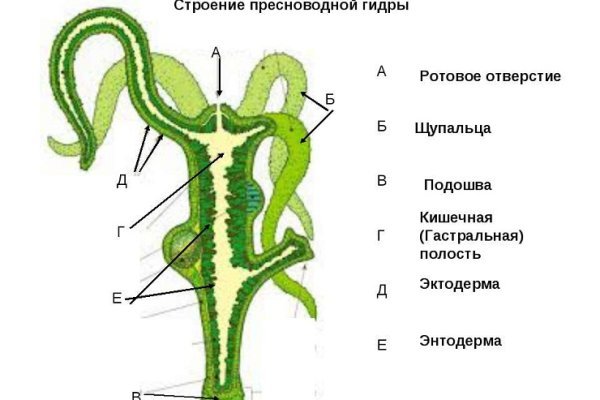 Можно вывести деньги с кракена