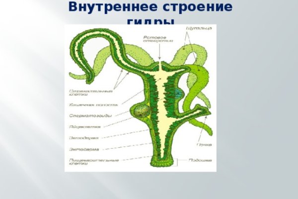 Kraken официальная ссылка