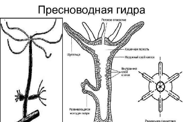 Кракен тор